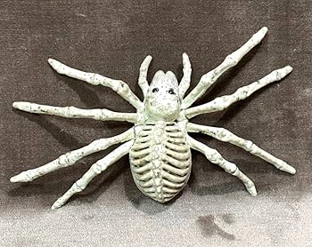 Amazon.co.jp: 大型 ゾンビ スカル スパイダー ホワイト 蜘蛛